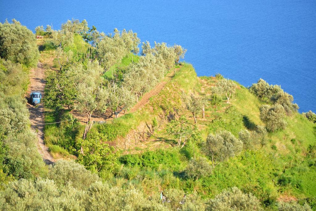 Neranya Διαμέρισμα Massa Lubrense Εξωτερικό φωτογραφία